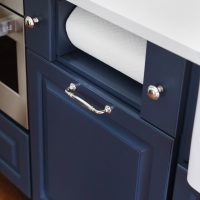 Blue kitchen with built-in paper towel dispenser